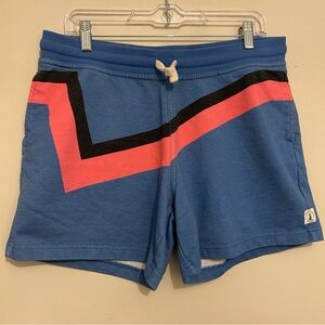 Chubbies Men’s Shorts 5.5” Blue Strip Sz L Large